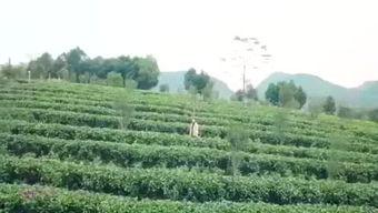 渔乐圈最新爆料消息,最新爆料事件深度解析  第1张